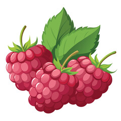 Bright and Juicy Raspberries with Fresh Green Leaves Illustration for Food and Beverage Designs