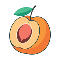 Vibrant, realistic illustration of a yellow and orange apricot fruit with a visible seed inside and a green leaf on top, set against a clean white background.