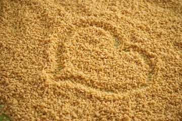 noodles for soup and ravioli made from homemade egg phyllo dough,