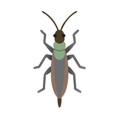 Stylized vector illustration of an insect with long antennae and legs colorful vector icon