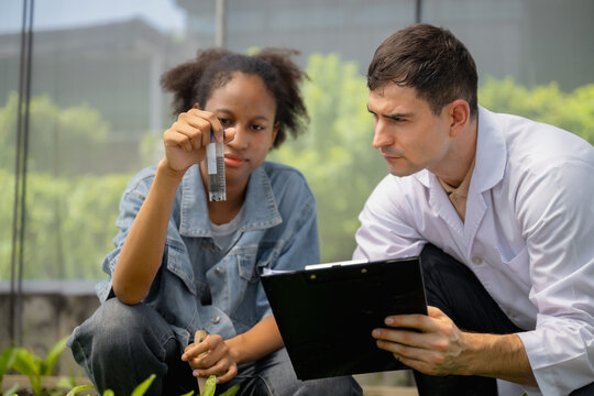 Teenage students studying and analyzing soil in research project, with scientists analyzing samples in greenhouse. Greenhouse experiments on soil nutrients. Practical training in agricultural lab
