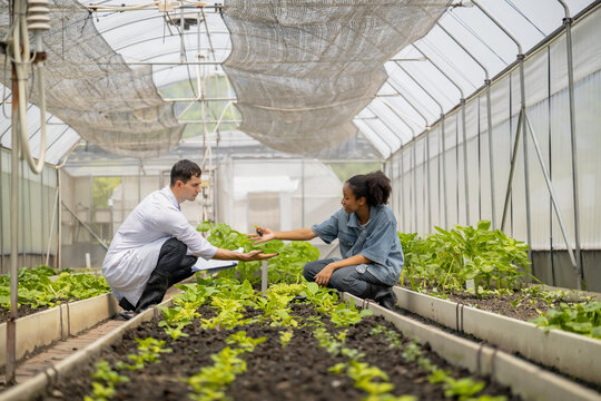 Young agriculture student learning seedling care in educational farming program in greenhouse lab with agronomist guiding plantation experiment, Education with real-life demonstration.