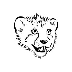 cheetah, vector sketch