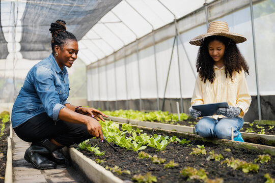 Mother teaching daughter gardening in greenhouse, Learn practical skills with mother while using modern technology in tablet step info smart farmer new generation - Powered by Adobe