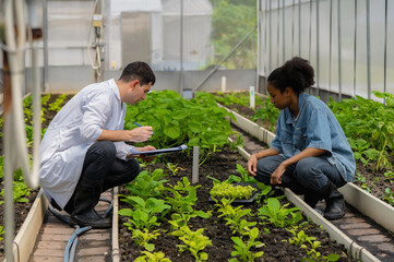 Teacher guiding student through crop evaluation and vegetable cultivation, STEM education through organic farming activity, Field-based learning with expert teacher, hands-on learning