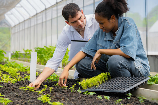 Teacher guiding student through crop evaluation and vegetable cultivation, STEM education through organic farming activity, Field-based learning with expert teacher, hands-on learning