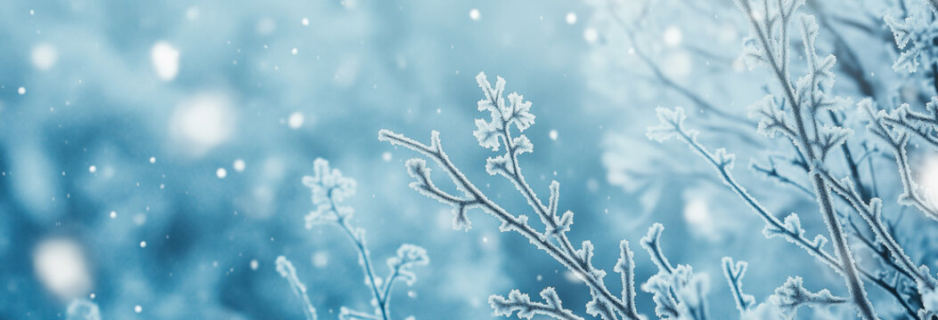An abstract winter background featuring snow and a forest, bathed in soft light with a light blue hue. Snowflakes delicately cover the surface, creating a detailed texture, while the blurred forest in