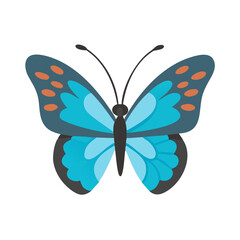 Delicate Blue Butterfly with Orange Spots on a transparent background vector colorful vector icon