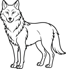 vector illustration of wolf