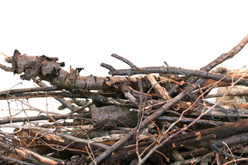 dried tree branches piled on top of each other, tree branches to be used as fuel,