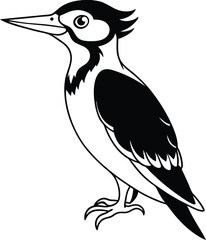 vector illustration of a black bird