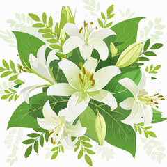 Fototapeta premium Arrangement of White Lilies with Green Leaves and Buds Isolated on White Background