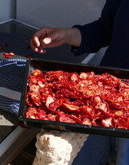 A woman collects dried tomatoes into a container.