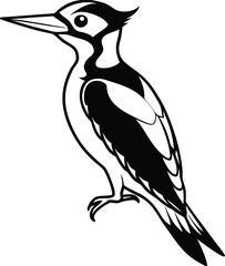 Obraz premium vector illustration of a black bird