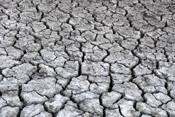 Deep splitting and cracking of the soil as a result of the decrease in near-water levels,