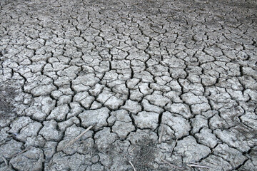 Deep splitting and cracking of the soil as a result of the decrease in near-water levels,