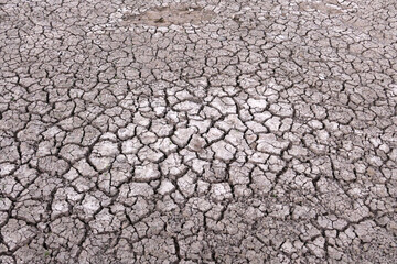 decrease in water levels and large-scale cracking of the soil as a result of drought, soil cracking...