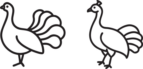 peacock-line-art-with-white-background.eps