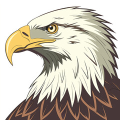 Obraz premium Detailed Bald Eagle Head Portrait Illustration