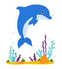 Cute Dolphin with algae on seabed. Vector illustration