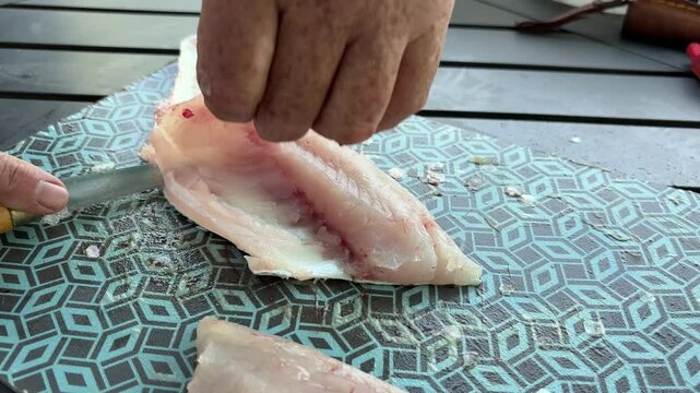 Filleting a bass
