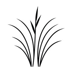 Beach Grass graphic perfect for seasonal themes Vector illustration