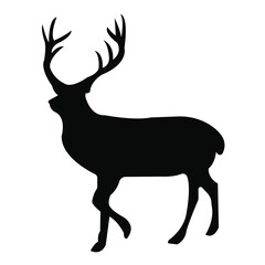 Deer Head Illustration with Antlers – Black and White Vector Art