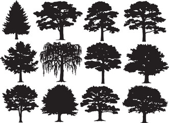 Detailed illustration of a single tree in vibrant colors
