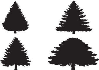 Detailed illustration of trees in a natural setting