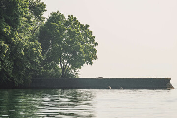 rivage vert et sauvage du lac léman