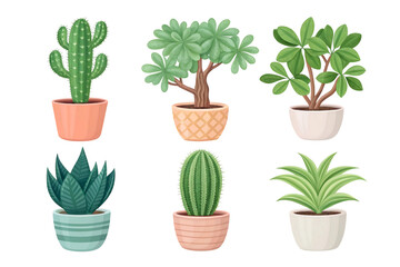 Six potted plants succulents cacti isolated on a transparent background