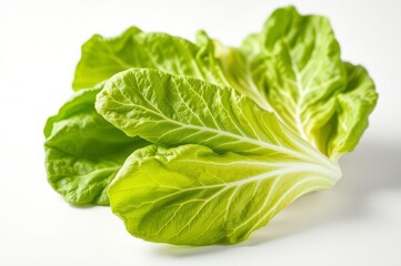 Fototapeta premium Crisp Iceberg Lettuce Close-Up