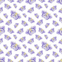 Watercolor moths, seamless pattern. Hand painted, watercolor print.