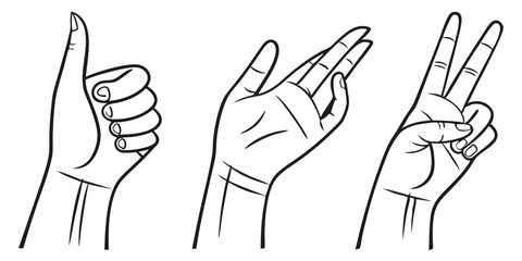 Obraz premium Outlined hand gestures in black and white featuring thumbs up open palm and peace sign symbols isolated for versatility