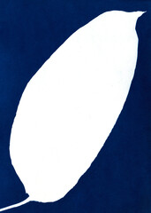 Minimalistic illustration of a large plant leaf. Plant silhouette. White on blue. Cyanotype creation process. Sun print.