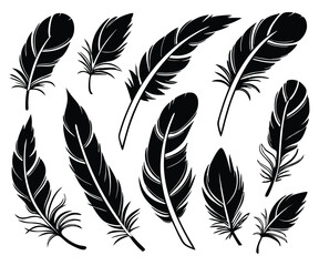 Obraz premium Collection of black feather silhouettes.