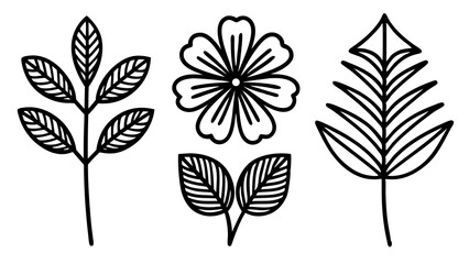 Botanical illustrations featuring different leaves and a flower design are presented in a minimalistic black outline style.