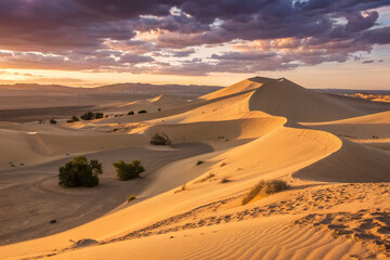 sahara desert morocco