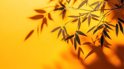 Silhouette of leaves cast in warm sunlight.