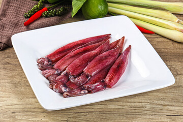 Raw fresh squids for cooking