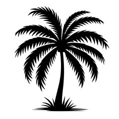 Palm Tree Silhouette