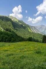 mountain landscape with green meadows, forests and high peaks in the summer in so called Gro&szlig;es Walsertal Biosphere Reserve in Vorarlberg Austria