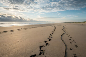 Footprints on a Peaceful Sandy Beach at Sunset