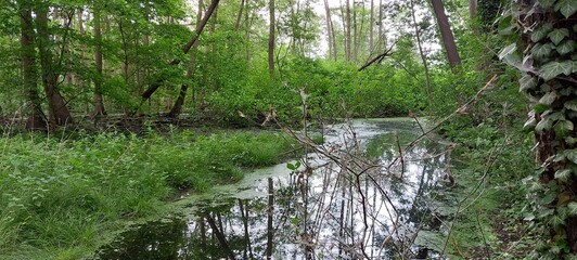 water flowing into the water
