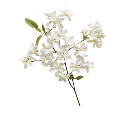 Obraz premium A beautiful spring blossom branch, with white lilac and cherry flowers, against a clear sky