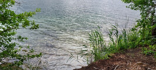 green grass and water