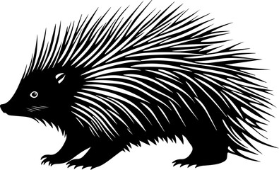 vector illustration of a porcupine