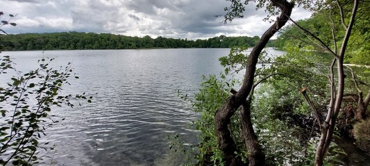 reflection of trees in the water