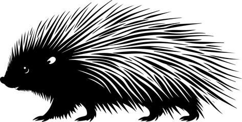 vector illustration of a porcupine