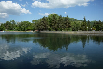 Gorgeous nature against the backdrop of a lake